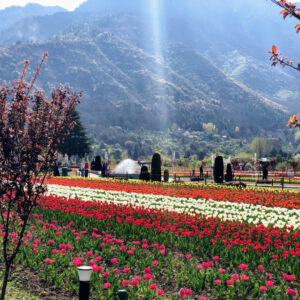 Kashmir Beyond Postcards: Navigating “Heaven on Earth” with Real-World Expertise