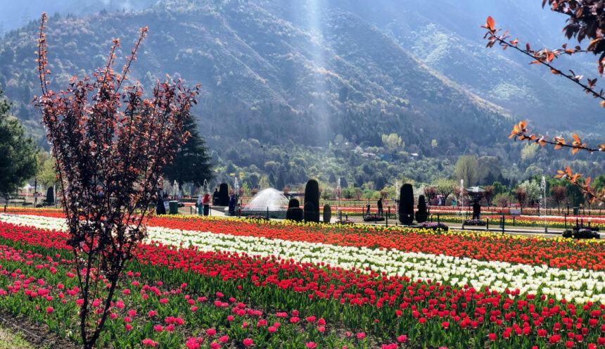 Kashmir Beyond Postcards: Navigating “Heaven on Earth” with Real-World Expertise